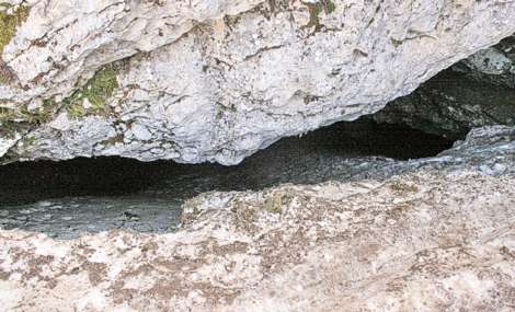 درفک