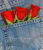 با بی توجهی همسرم چه کنم؟