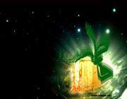 حضرت فاطمه زهرا (ع)