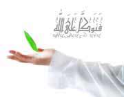 راز توکل در یک حکایت