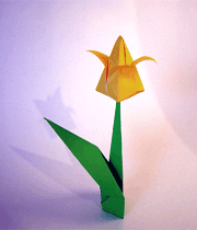 گل لاله کاغذی