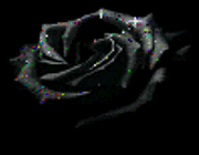 ماه صادقانه