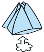 گل لاله کاغذی