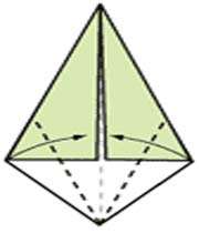 ساقه ی کاغذی