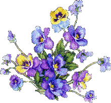 بشارت باد (متن مجری میلادامام رضا (ع))