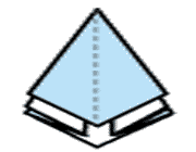 کاج کاغذی