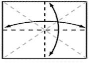 کاج کاغذی