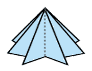 کاج کاغذی