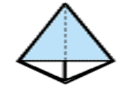 کاج کاغذی