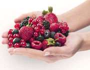 پیشگیری از سرطان با مصرف میوه‌ های قرمز