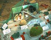 هفت سین در جبهه