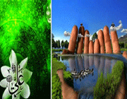 امام علی