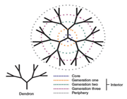 معرفی،خواص وکاربردهای دندریمرها(1)