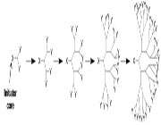 معرفی،خواص وکاربردهای دندریمرها(1)