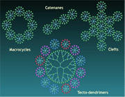 معرفی،خواص وکاربردهای دندریمرها(1)