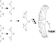 معرفی،خواص وکاربردهای دندریمرها(1)