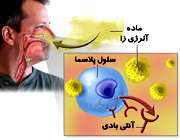 حساسیت بینی