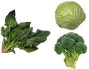 سبزیجات سبز رنگ