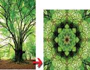 خلق خلاقیت در فتوشاپ