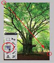 خلق خلاقیت در فتوشاپ