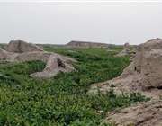ابوریحان بیرونی