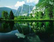 nature