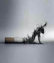 a burnt cigarette ash 