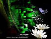 امام کاظم