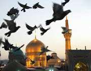 حرم امام رضا