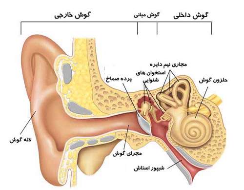 حس شنوایی