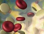 گلبول‌ سفید خون