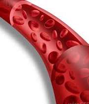 علل افزایش گلبول‌های قرمز خون 1