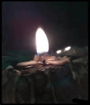IMAGE(http://img1.tebyan.net/big/1392/08/115220519319716625472136144141132377662202.gif)