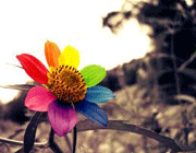 نعمات الهی