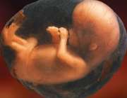 12 نکته درباره لگد زدن جنین
