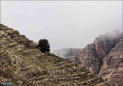 روستایی اسفیدان