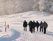 پیاده روی در برف فصل زمستان