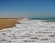 gulf of oman coasts