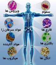 سیستم ایمنی بدن