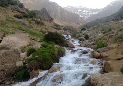 چشمه میشی