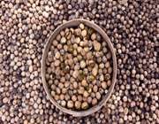  ماسوله خراسان 