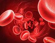 سلول های خونی و مشاهده فاگوستیوز