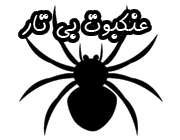 عنکبوت بی تار