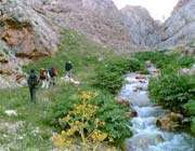 vaashi river