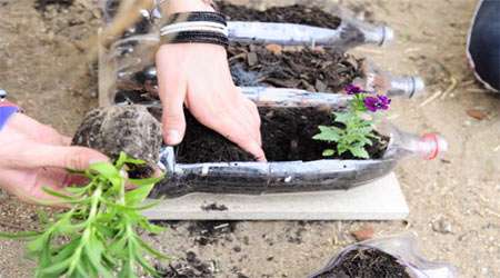 اهمیت پوشش گیاهی در فرسایش خاک 