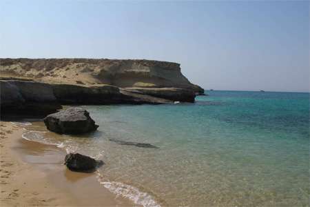 دیدار با دلفین ها