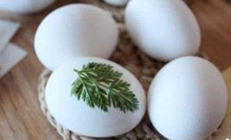 آموزش درست کردن تخم مرغ رنگی با طرح برگ