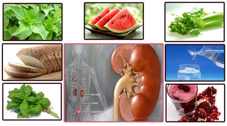 کلیه و رژیم غذایی