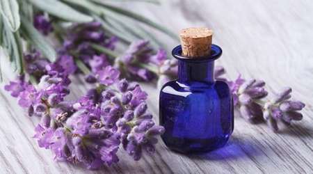 عصاره ی گیاهی اسطوخودوس