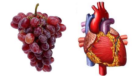 تأثیر انگور در سلامت قلب و عروق